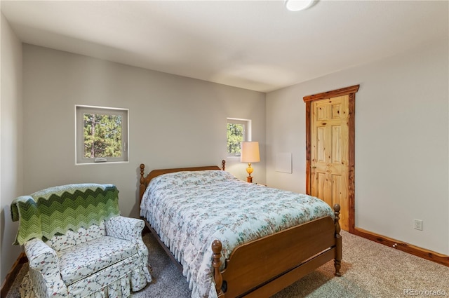 33002 Bobcat Ct, Trinidad, CO 81082 - carpeted bedroom with baseboards