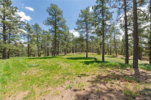 33002 Bobcat Ct, Trinidad, CO 81082 - view of wooded area