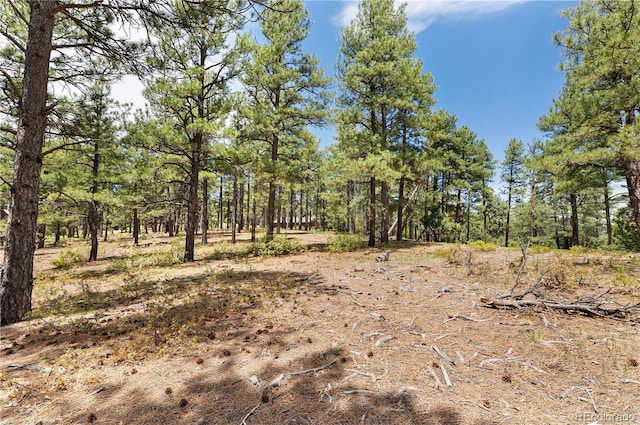 33002 Bobcat Ct, Trinidad, CO 81082 - view of local wilderness