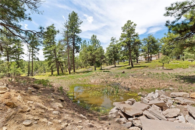 33002 Bobcat Ct, Trinidad, CO 81082 - view of nature