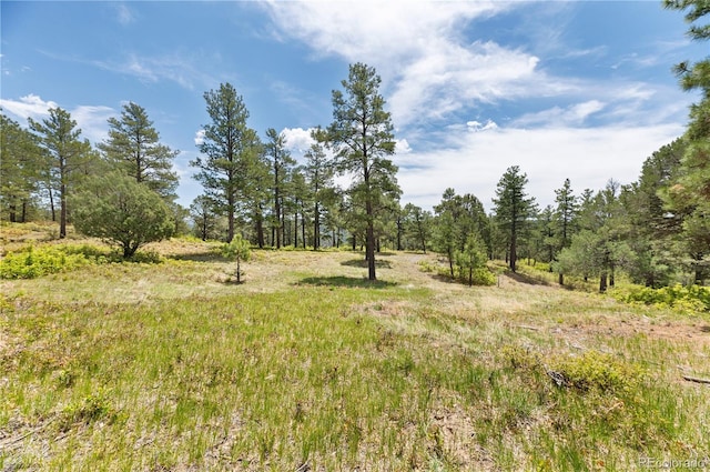 33002 Bobcat Ct, Trinidad, CO 81082 - view of undeveloped land