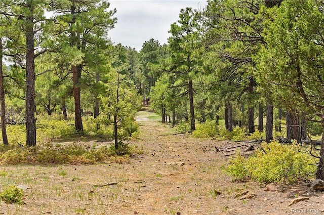 33002 Bobcat Ct, Trinidad, CO 81082 - view of tree filled area