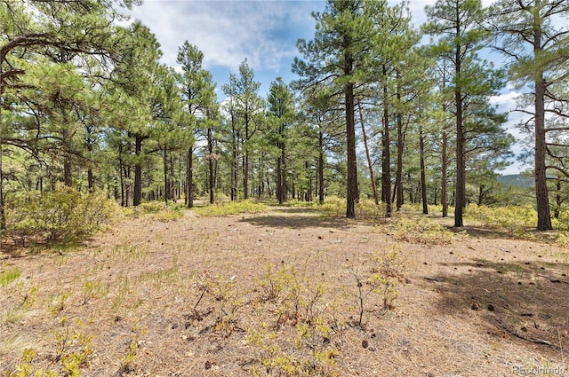 33002 Bobcat Ct, Trinidad, CO 81082 - view of tree filled area