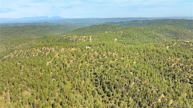 33002 Bobcat Ct, Trinidad, CO 81082 - view of property location with a mountainous background and a forest