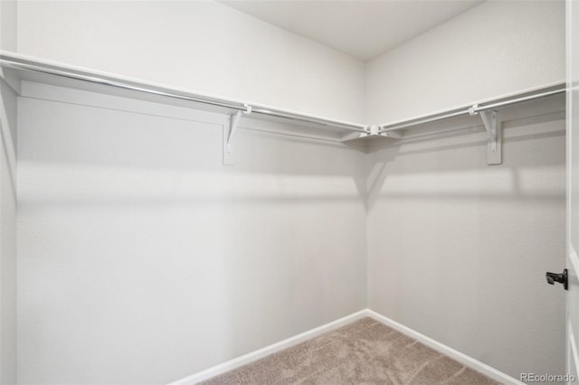 spacious closet with carpet