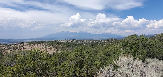 LOT2345 Sandoval Rd, Fort Garland, CO 81133 - photo 1