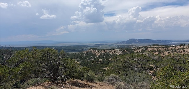 LOT2345 Sandoval Rd, Fort Garland, CO 81133 - photo 2