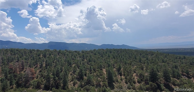 LOT2345 Sandoval Rd, Fort Garland, CO 81133 - photo 3