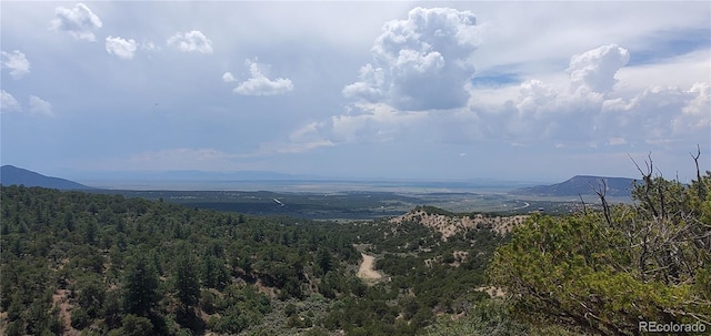 LOT2345 Sandoval Rd, Fort Garland, CO 81133 - photo 4
