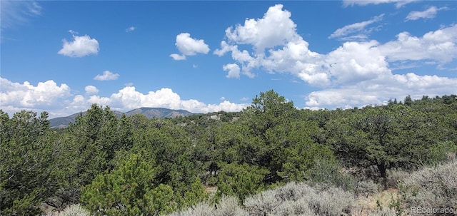 LOT2345 Sandoval Rd, Fort Garland, CO 81133 - photo 5