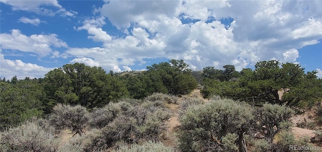 LOT2345 Sandoval Rd, Fort Garland, CO 81133 - photo 6