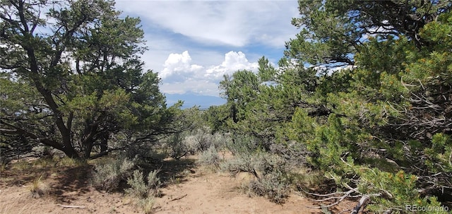 LOT2345 Sandoval Rd, Fort Garland, CO 81133 - photo 7