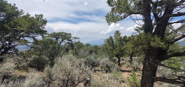 LOT2345 Sandoval Rd, Fort Garland, CO 81133 - photo 8