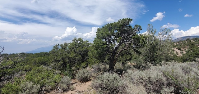 LOT2345 Sandoval Rd, Fort Garland, CO 81133 - photo 9