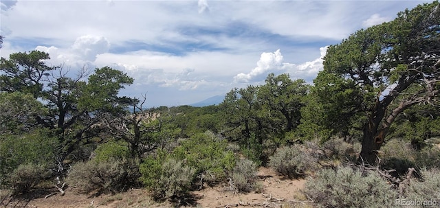 LOT2345 Sandoval Rd, Fort Garland, CO 81133 - photo 10