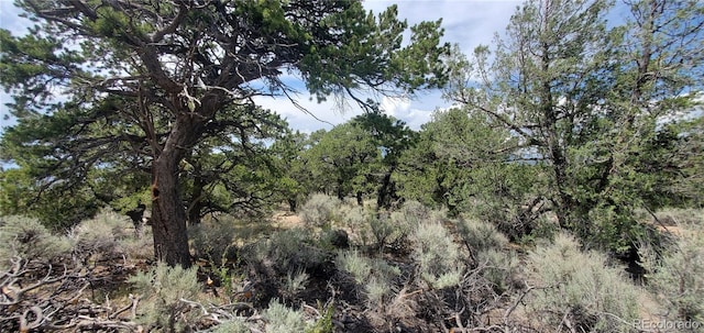 LOT2345 Sandoval Rd, Fort Garland, CO 81133 - photo 11