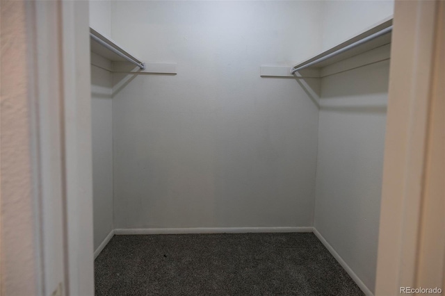 spacious closet with carpet