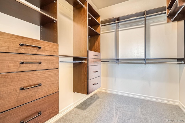 9453 Vista Hill Ln, Lone Tree, CO 80124 - spacious closet featuring carpet floors
