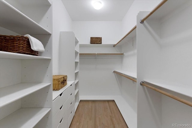6703 S Yates Ct, Littleton, CO 80128 - walk in closet featuring light wood finished floors