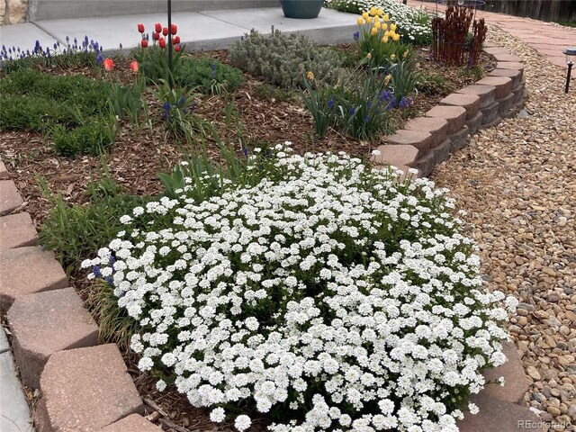 7466 E Long Cir, Centennial, CO 80112 - view of yard