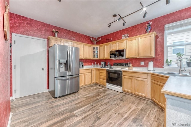 10191 Sagecrest St, Highlands Ranch, CO 80126 - kitchen with appliances with stainless steel finishes, light brown cabinetry, a sink, light wood-style flooring, and light countertops