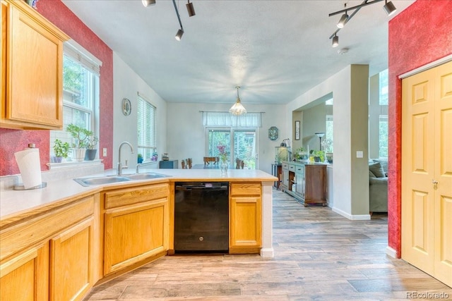 10191 Sagecrest St, Highlands Ranch, CO 80126 - kitchen with black dishwasher, a sink, track lighting, and a peninsula
