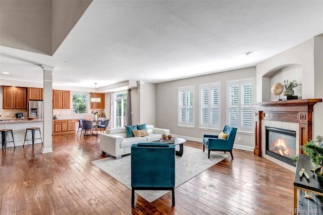 10646 Amesbury Way, Highlands Ranch, CO 80126 - living room featuring hardwood / wood-style floors and a fireplace