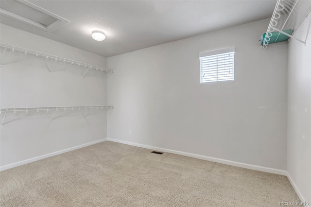 10646 Amesbury Way, Highlands Ranch, CO 80126 - spacious closet featuring carpet floors