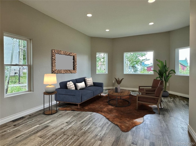 living area featuring baseboards, plenty of natural light, and wood finished floors