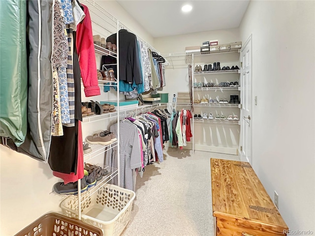 view of walk in closet