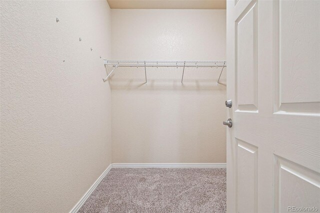 walk in closet featuring carpet floors