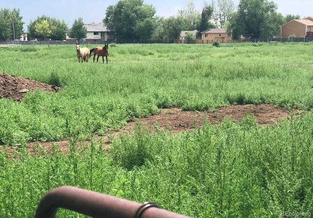 view of yard featuring a rural view