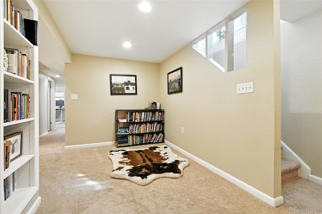 923 S Beech St, Lakewood, CO 80228 - photo 31