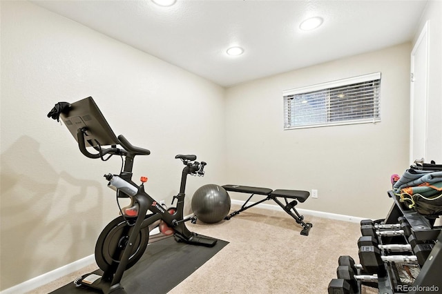 923 S Beech St, Lakewood, CO 80228 - photo 35