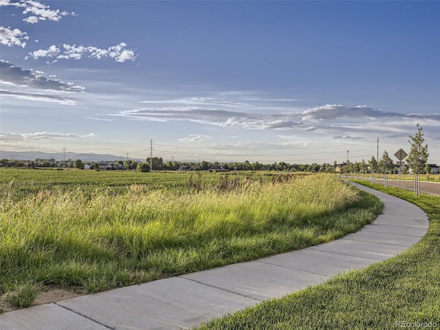800 Meadowlark Dr, Erie, CO 80516 - photo 44