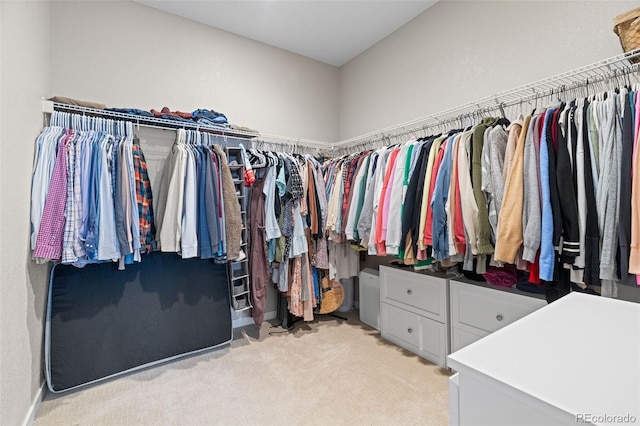 spacious closet with light carpet