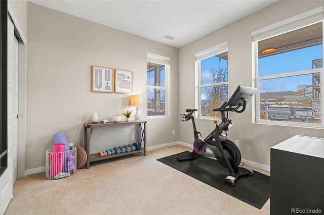 exercise room featuring light colored carpet