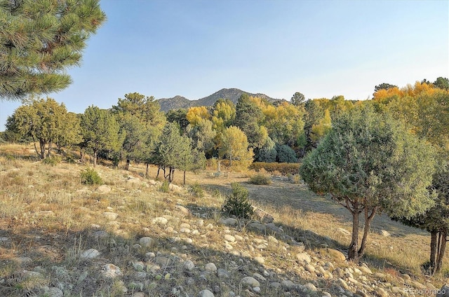 view of mountain feature with a rural view