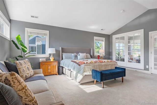 3330 E Tennessee Ave, Denver, CO 80209 - bedroom featuring lofted ceiling, carpet flooring, multiple windows, and access to exterior