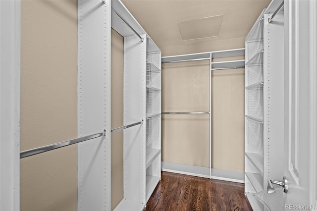 1499 Blake St Unit 2C, Denver, CO 80202 - spacious closet featuring wood finished floors and attic access