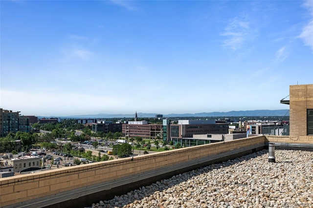 1499 Blake St Unit 2C, Denver, CO 80202 - city view featuring mountains