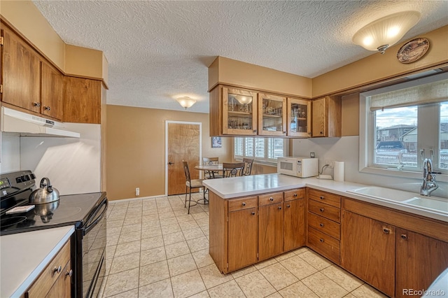 kitchen with white microwave, under cabinet range hood, a peninsula, black electric range, and a sink