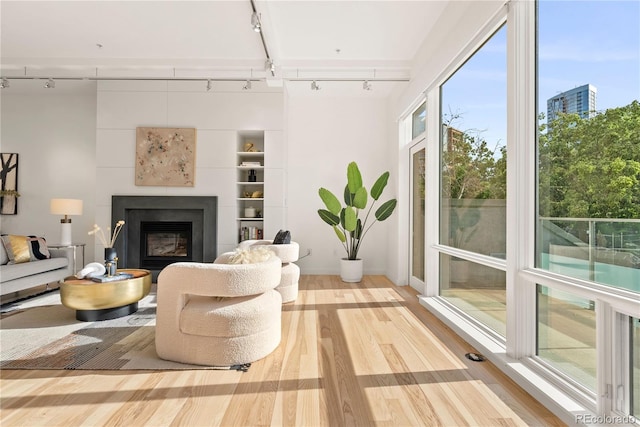 living area with a fireplace, rail lighting, and wood finished floors