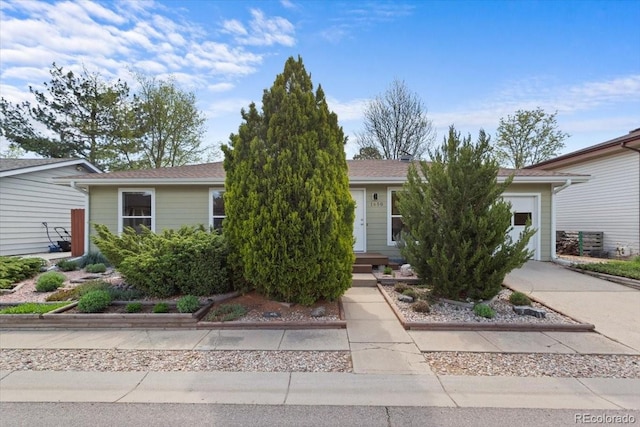 view of property hidden behind natural elements with a garage and concrete driveway