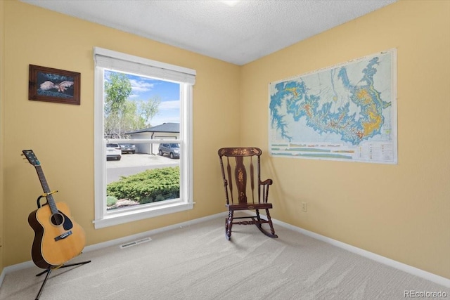 living area featuring carpet, baseboards, and a textured ceiling