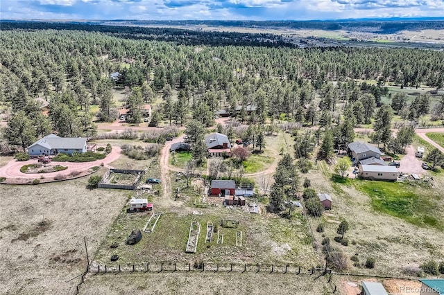 bird's eye view of a forest
