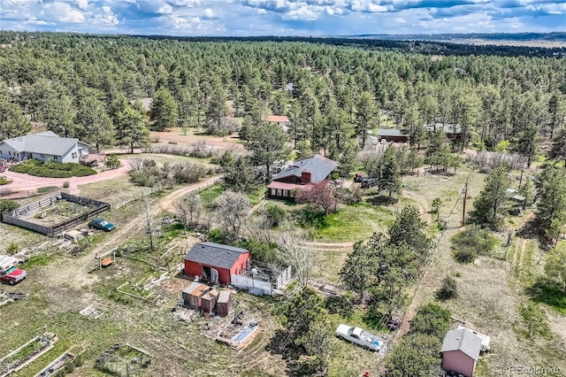 aerial view of a forest