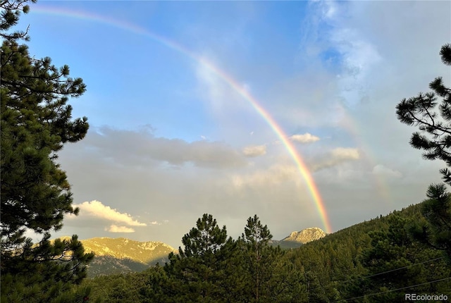 32187 Sylvan Rd, Golden, CO 80403 - view of tree filled area with a mountain view