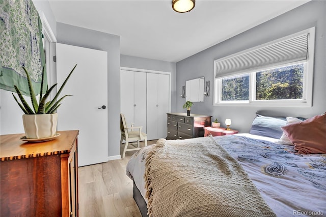 32187 Sylvan Rd, Golden, CO 80403 - bedroom with light wood-style floors and a closet