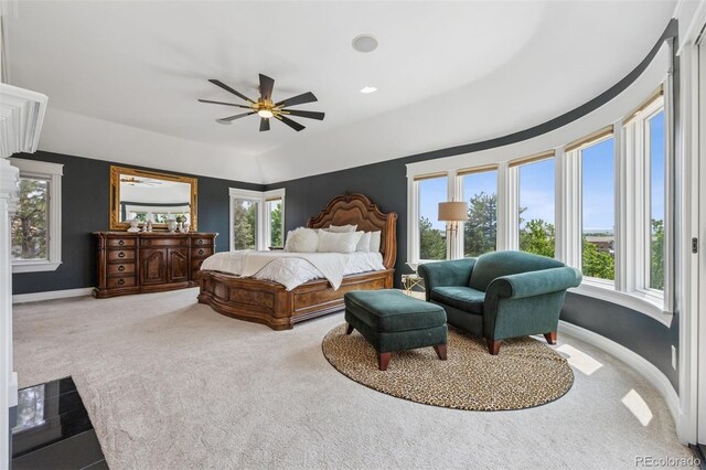 81 Falcon Hills Dr, Highlands Ranch, CO 80126 - photo 19